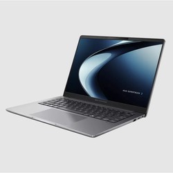ASUS ExpertBook P3 PM3406CKA-LY0348X